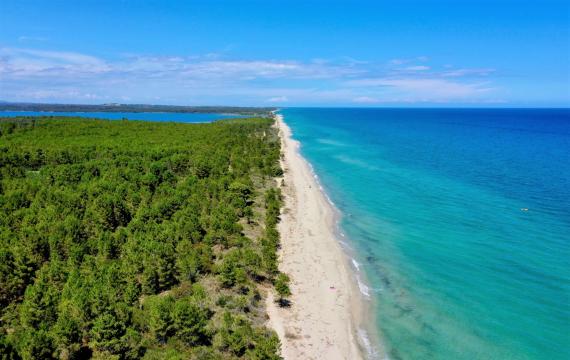 VUE AERIENNE DE LA FORET DE PINIA
